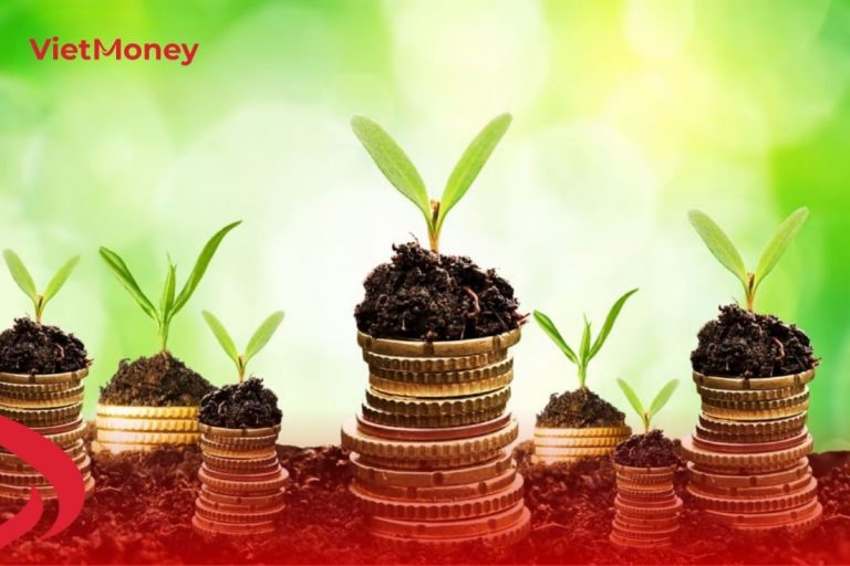 Cần lưu ý một vài điều khi quyết định đầu tư vào thị trường tài chính.