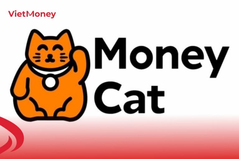 Giải pháp vay tiền online nhanh gọn chỉ cần CMND