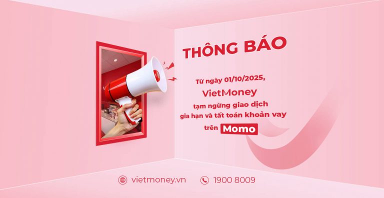 viet-money-momo