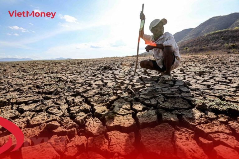 Thiên tai, bệnh tật - những rủi ro tài chính luôn rình rập