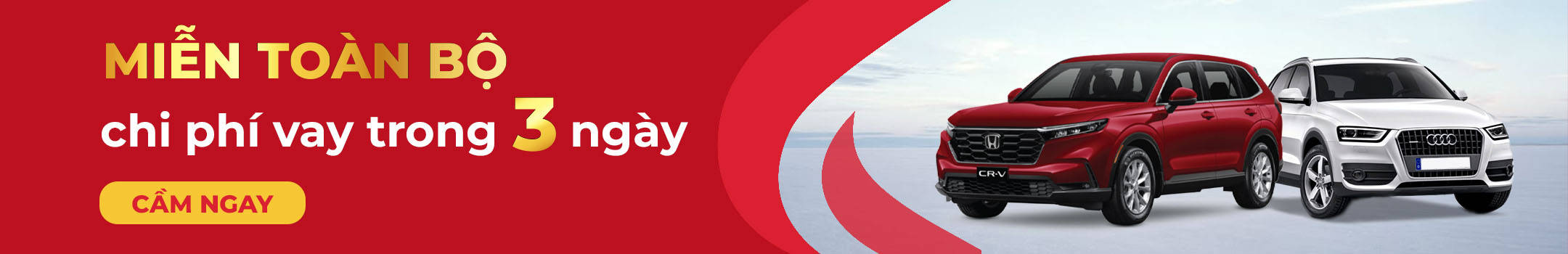 viet-money-cam-o-to-mien-lai-3-ngay